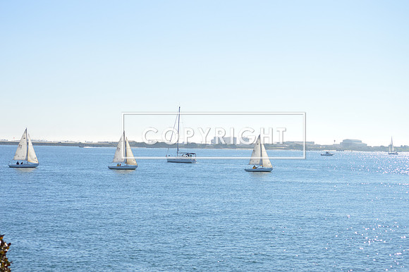 DSC_0085 (1)