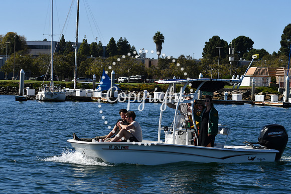 DSC_2023 (1)