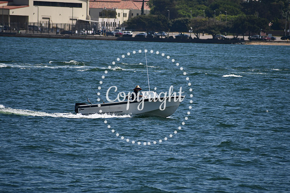 DSC_0545 (1)