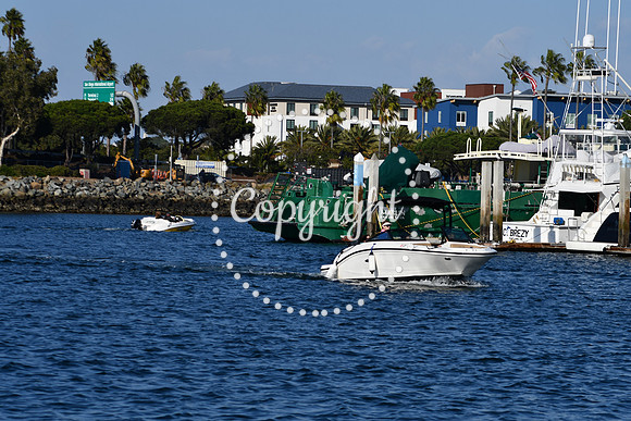 DSC_2323 (1)