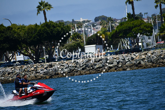 DSC_0226 (1)