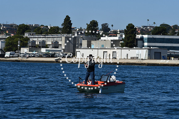DSC_1915 (1)