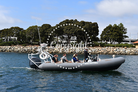 DSC_1232 (1)