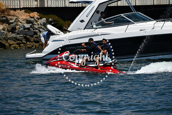 DSC_0284 (1)