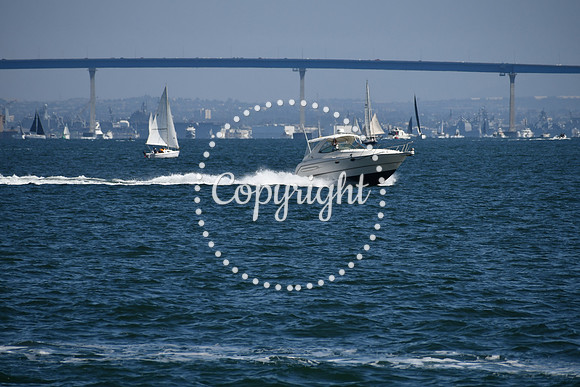 DSC_0584 (1)