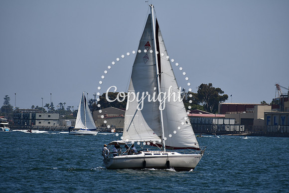 DSC_0469 (1)