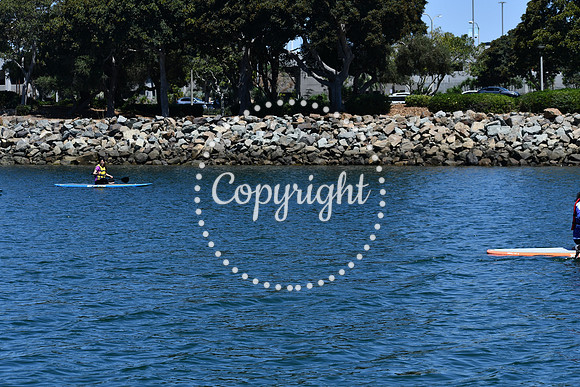 DSC_0020 (1)