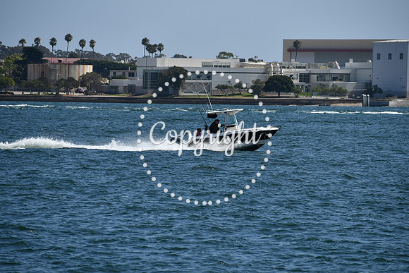 DSC_0555 (1)