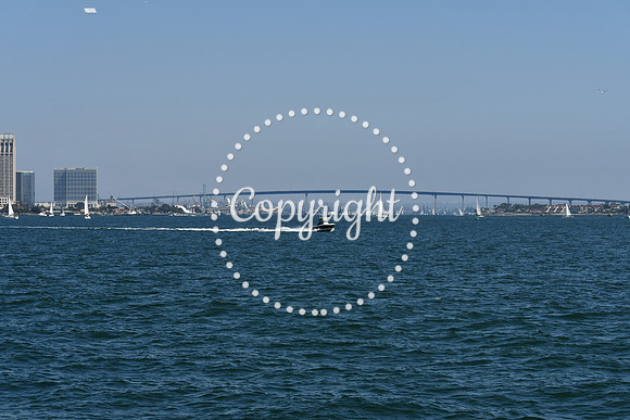 DSC_0548 (1)