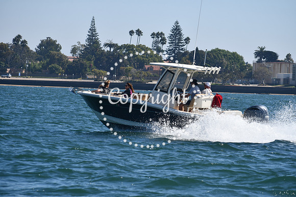 DSC_1298 (1)