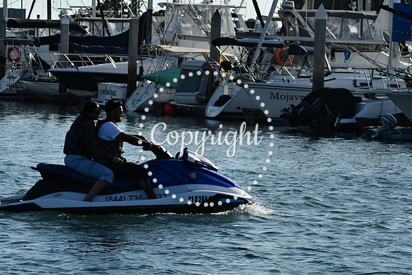 DSC_2354 (1)