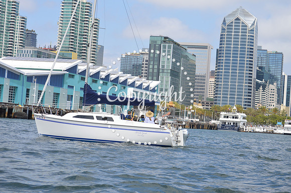 DSC_0214 - Copy