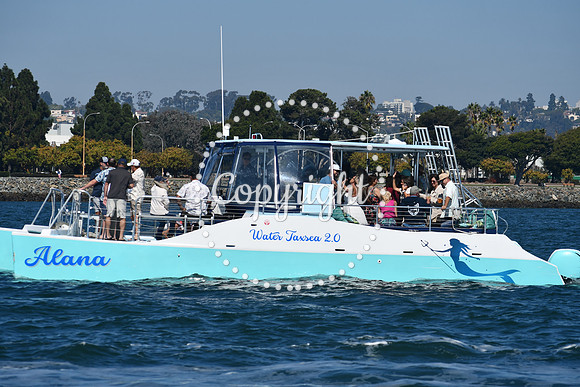DSC_1314 (1)