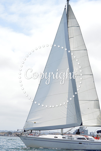 DSC_0147 - Copy