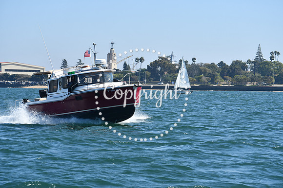 DSC_1280 (1)