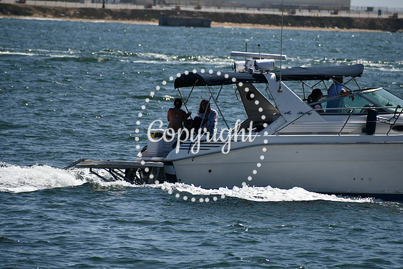 DSC_0535 (1)