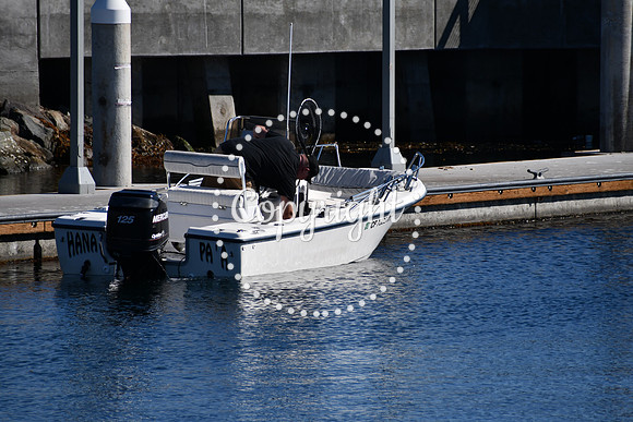DSC_1837