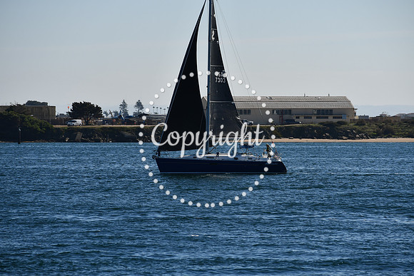DSC_1869