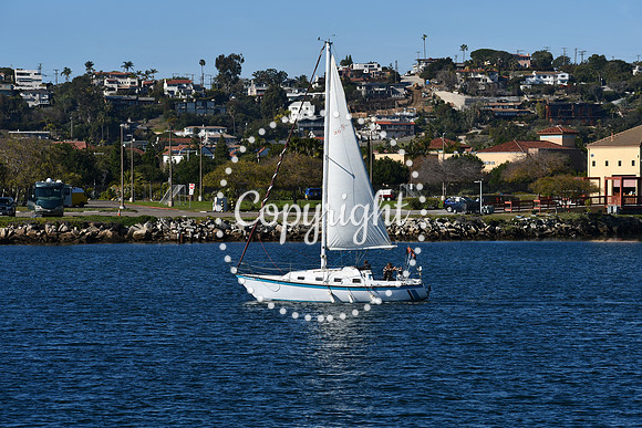 DSC_1891