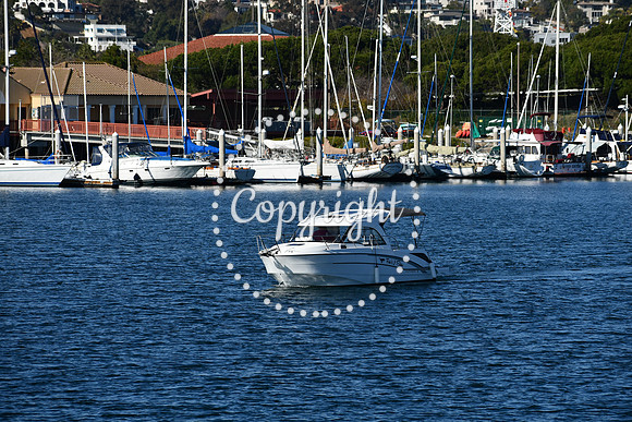 DSC_1897