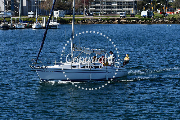 DSC_1904