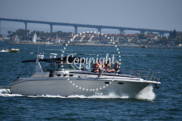 DSC_0525 (1)