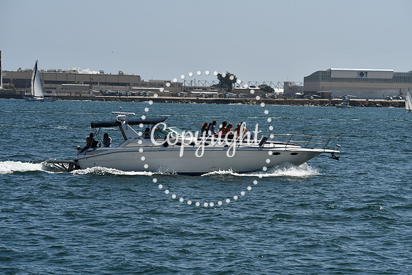 DSC_0532 (1)