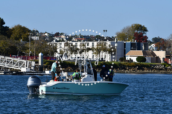 DSC_2269 (1)