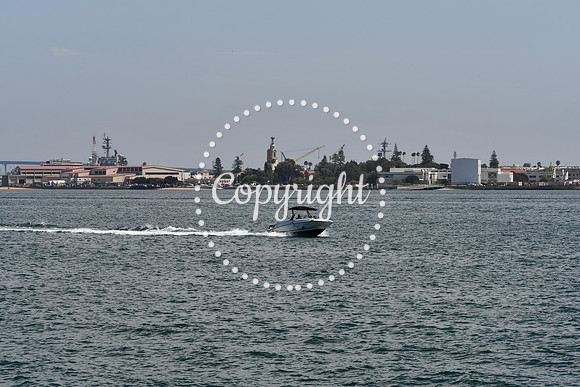 DSC_0453 (2)