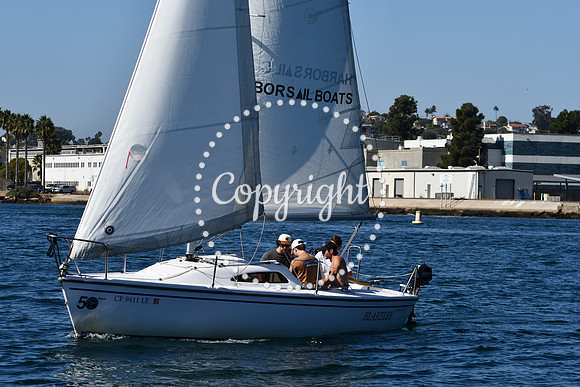 DSC_1919 (1)