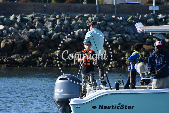 DSC_2262 (1)