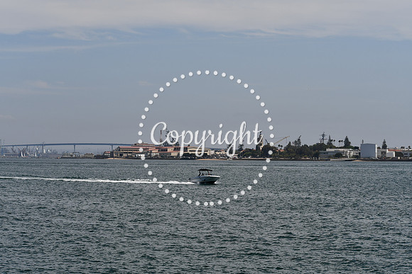 DSC_0452 (2)