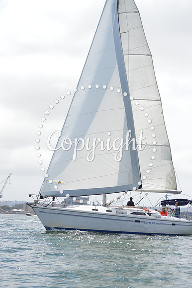 DSC_0146 - Copy