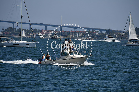 DSC_0496 (1)