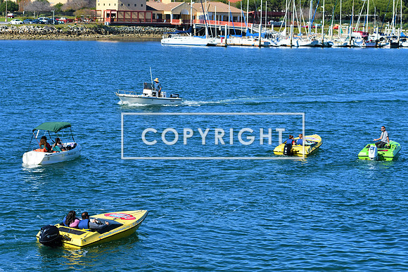 DSC_2880 (2)