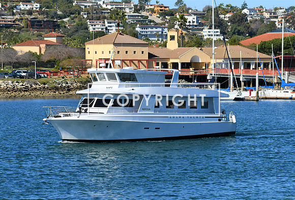 DSC_2827 (2)