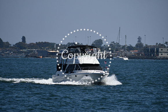 DSC_0470 (1)