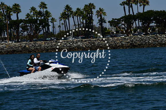 DSC_0212 (1)
