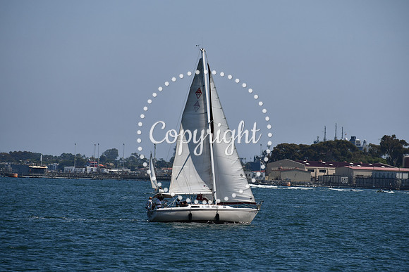 DSC_0468 (1)