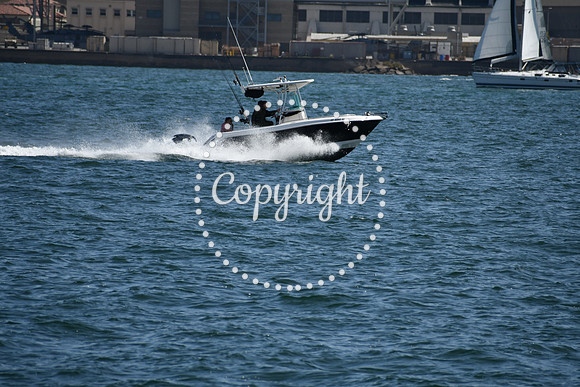 DSC_0557 (1)