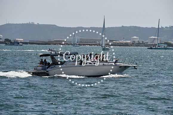 DSC_0538 (1)