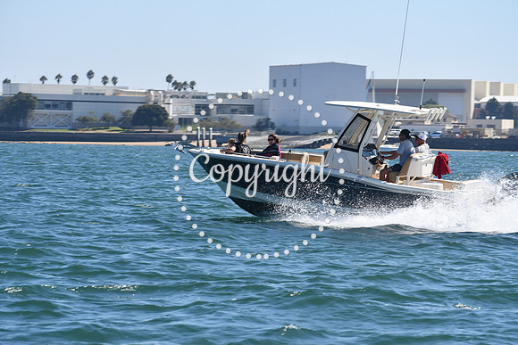 DSC_1297 (1)