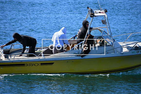 DSC_2845 (2)