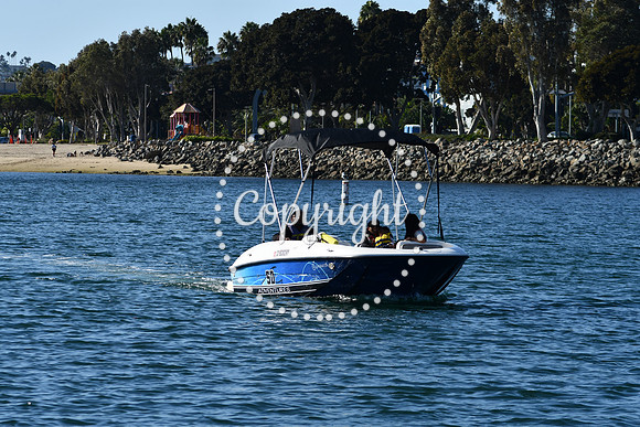 DSC_2117 (1)