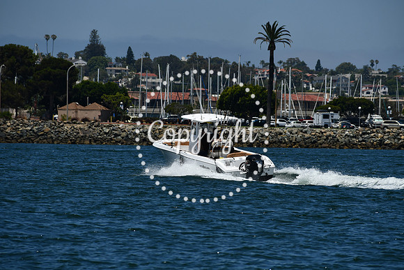 DSC_0230 (1)