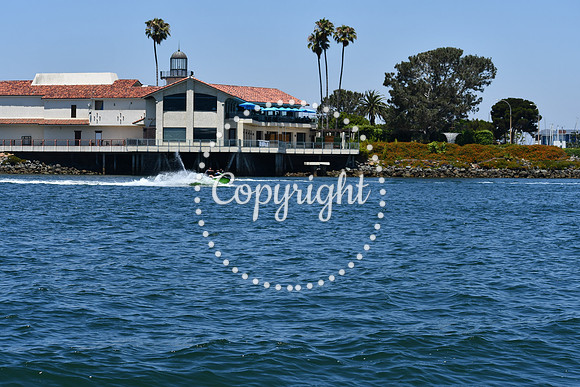 DSC_0255 (1)
