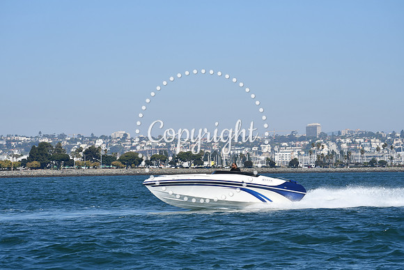 DSC_1260 (1)