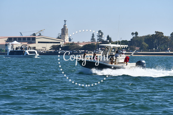 DSC_1299 (1)