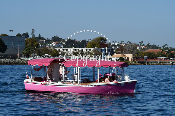 DSC_1960 (1)