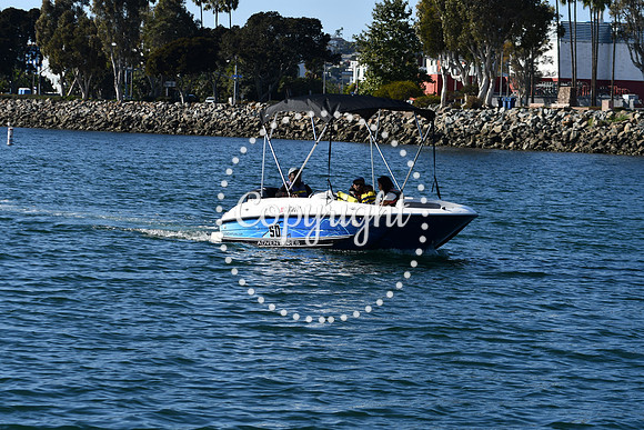 DSC_2119 (1)